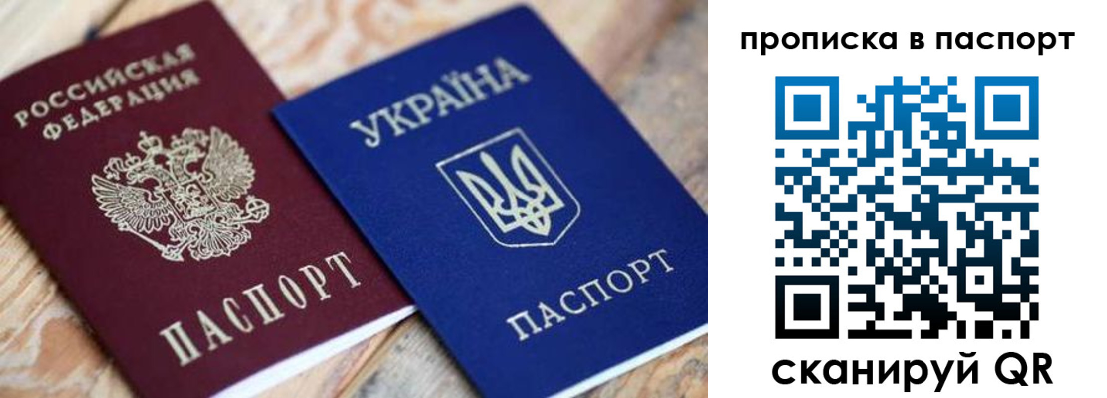 прописка паспорт в Алексеевке
